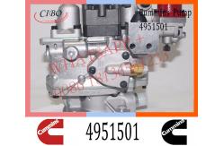 China Diesel Engine Parts Fuel Injection Pump 4951501 3042115 4061206 For Cummins NT855 supplier