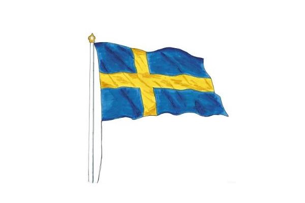 100% Polyester Dark Blue Swedish Flag With Plastic Hook Sweden Flag