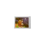 T260XW03 V1 30 Pins 26 Inch LCD Screen 1366*768 for AUO for sale