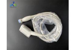 China Biosound Biosound SP2430 Ultrasound Transducer Probe Acoustic Lens And Crystal Replacement supplier