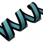 Custom Color Underwear Waistband Nylon Spandex Elastic