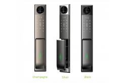 China Qleung S923MAX Intelligent Video Calling Face Recognition Fingerprint Smart Door Lock supplier