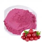 Mygou Foods Cranberry Fruit Juice Extract Powder OEM Packing for sale