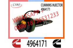 China 4964171 QSK19 Diesel Engine Common Rail Fuel Injector Y431K055582867149 2867147 4964171 supplier