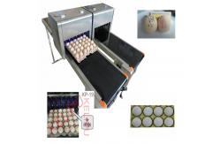 China High Efficient Egg Inkjet Marking Machine , Date Printing Machine For Eggs supplier