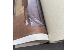 China Aqueous Matt 100% Cotton Canvas Roll For Inkjet Printing Blank Canvas supplier