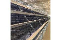 China 160 Birds Q235 Cage Automatic Poultry Feeding System 4 Layers supplier