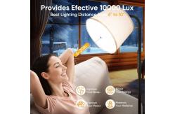 China 24W Therapy Floor Lamp Remote Control Touch Control Sad Floor Lamps supplier