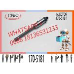 Fuel Injector Assembly  170-5181  130-1804 0R-1747 0R-8787 0R-4124 0R-3591 0R-3423 for sale