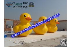 China Customized Inflatable Yellow Duck for Advertising supplier