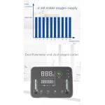 32KG 110V Quiet Pneumonia Oxygen Machine Breathing Machine Copd