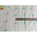 Green Color PP Agricultural Netting , Climbing Plant Support Mesh Hole Open 8cmx8cm for sale
