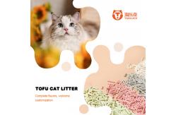 China 100% Natural Tofu Cat Litter Odor Locking Clumping Biodegradable Cat Litter supplier