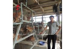 China 120 Birds Layer Battery Cage System 450cm2 Long Lifespan CE Star supplier