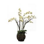 Custom Color 117cm Artificial Orchids For Table Simulated From European Orchid for sale