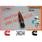 New Neutral Diesel Injectors 2036181 2419679 2482244 Injection Valves 2419679 For SCANIA for sale
