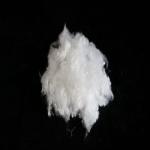 Insulation Hollow Polyester Fibre HCS 3D Hollow Fiber For Fabric Filling for sale