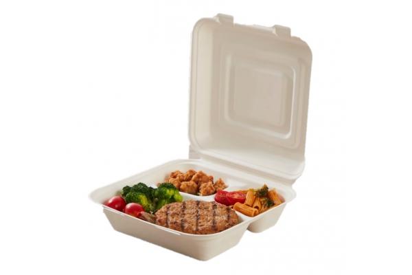 3 Compartment Recyclable Eco-friendly Sugarcane Food Container 9 Inch Clamshell Packaging