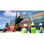 Export Declaration Import Clearance for sale