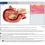 Stable Faster Metapathia GR Hunter 4025 analyzer monitor life resonance intelligence