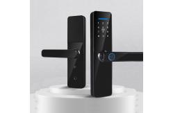 China Biometric Fingerprint Wifi Lock Tuya Zigbee TTlock Smart Digital Door lock supplier