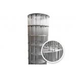 Galvanized 2x4 inch Welded Metal Wire Mesh 14 Gauge 60 in X 100 ft for sale