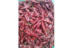 China 8000 SHU Yidu Chili Pungent Chilli Flavor Beijinghong Jinta Chilli supplier