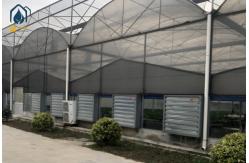 China Modern Large Multi Span Greenhouse With Hydroponic System For Phalaenopsis Mochis Planting supplier