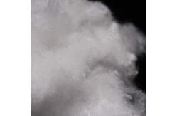 China Recycled PET 8D Flame Retardant Fiber Fireproof Polyester Fiber For Filling Material supplier