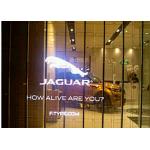 Window Transparent LED Display Fanless Design / Convenient Maintenance for sale
