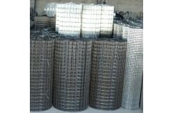 China 10x10 10 Gauge Welded Wire Mesh Hot Dipped Galvanized For Protection supplier