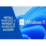 TPM 2.0 Microsoft Windows 11 Professional OEM Box Win 11 Home Activation Key Online