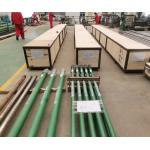 Diameter 44mm Oil Well Downhole Pumps 25-175 RHAM-12-2-2 for sale