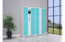 China ODM Smart Electronic Locker supplier