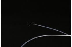China Medical Sterilized Polyp Snare , Endoscopic Snare Polypectomy CE / ISO13485 supplier
