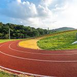 9mm Synthetic Running Track SBR Granules Sport Flooring For Stadium for sale