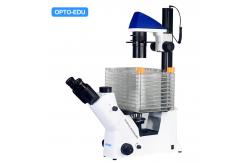 China Opto-Edu A14.2604 Inverted Optical Trinocular Phase Contrast Cell Factory Microscope supplier