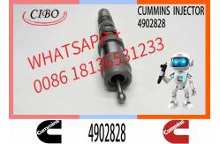 China QSK60 QSK45 Engine Fuel Injector 4954374 4326784 4326781 for Cummins supplier