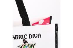 China Laminated Pp Non Woven Bag supplier