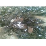 59% Fixed Carbon Coal Tar Epoxy Paint , Pencil Shape ISO Approved Coal Tar Bitumen for sale