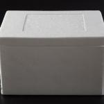 EPP EPS Incubator Refrigerated Fresh Food Transport Incubator for sale