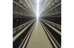 China Chicken Farm Q235 Automatic Poultry Feeding System dia3-6mm Wire With Dispensing supplier