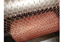 China 1.2m Width 2 Inches Woven Copper Wire Mesh Hexagonal Commercial Agricultural Use supplier