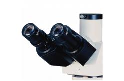 China A13.0202 Trinocular Handheld Digital Microscope 50X - 600X Magnification Binocular For Research supplier