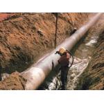 Pipeline Measuring Silver / Silver Chloride Reference Electrode High Stability for sale