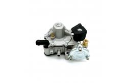 China Larger Internal Passages 110W LPG Pressure Regulator Reducer With Black Solenoid Valve supplier