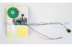 China Custom Voice Greeting Card Sound Module , recordable voice chip supplier