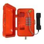 Wall / Pillar Mounting Explosion Proof Telephone for sale