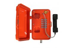 China Wall / Pillar Mounting Explosion Proof Telephone supplier