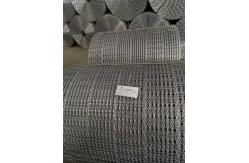 China Point Welded Concrete Weight Coating Mesh 2.8 MM Roll Weight 41kg 82kg supplier